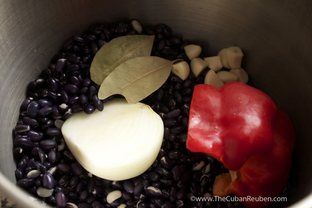 Contents of the pressure cooker, before I added the liquid.